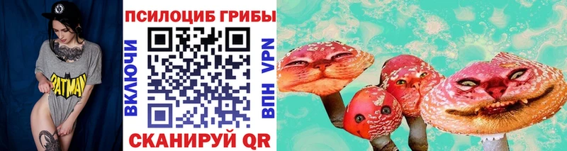 MEGA сайт  Моздок  Галлюциногенные грибы MAGIC MUSHROOMS  дарнет шоп 